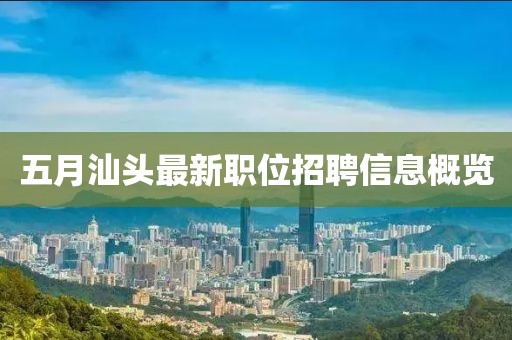 五月汕頭最新職位招聘信息概覽